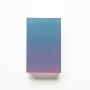 Tulle Momentum 'Silence'